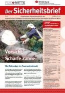 Titelblatt Sicherheitsbrief Nr. 30